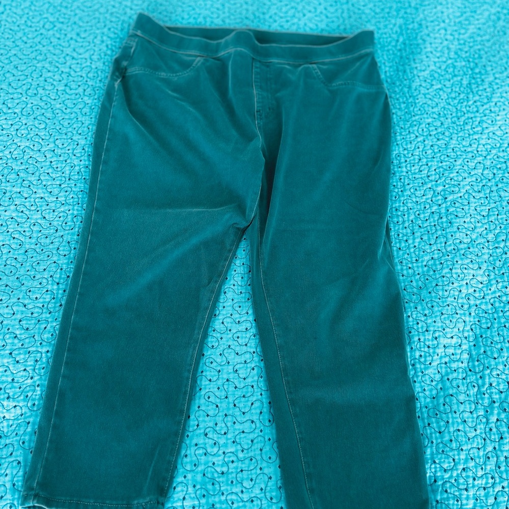 Time and Tru light blueish green Cropped Pants